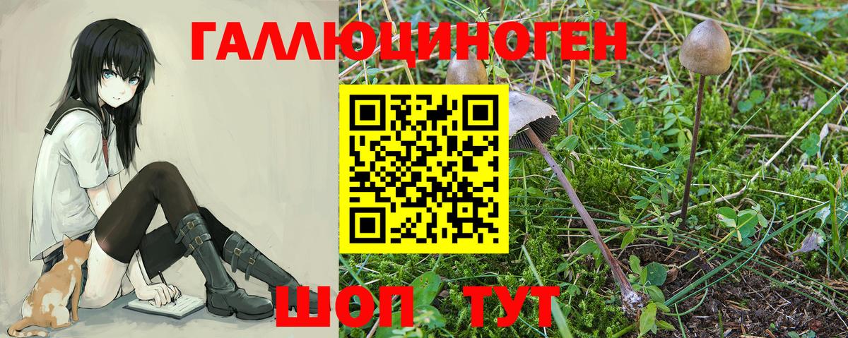 Галлюциногенные грибы прущие грибы  как найти закладки  Холмск  Вход с VPN  Галлюциногенные грибы ЛСД 